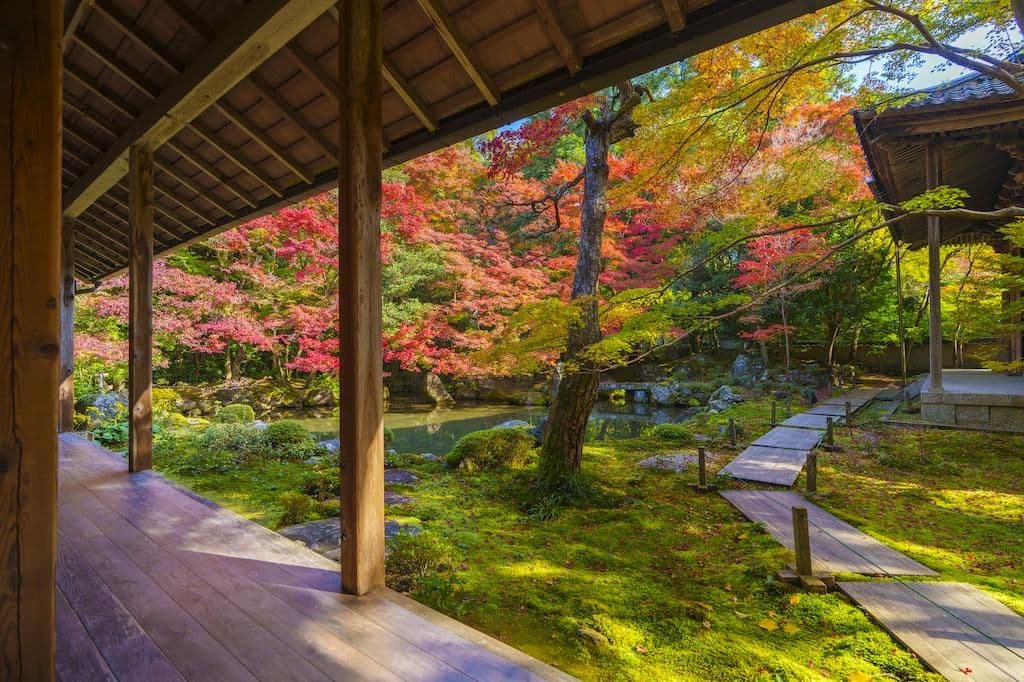 Kyoto.jpeg